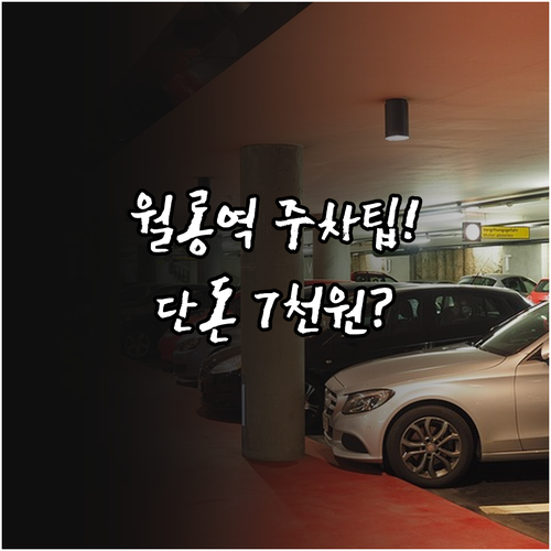 경의중앙선 월롱역 주차장 위치와 하루..