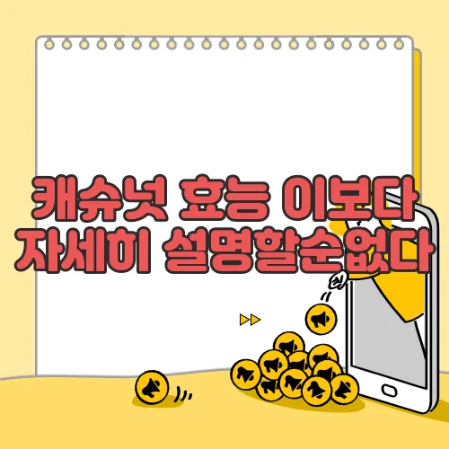 캐슈넛 효능 이보다 자세히 설명할순없다