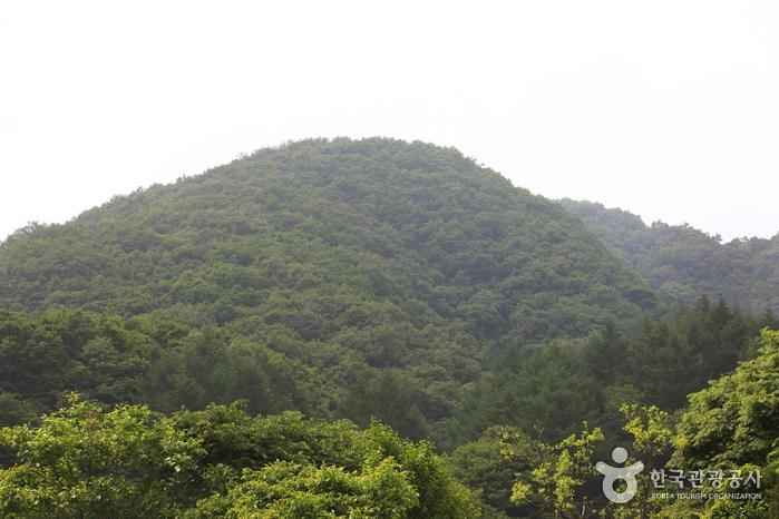 만뢰산