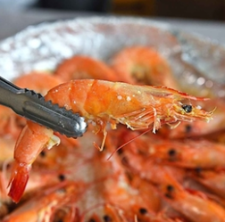 생방송 투데이 홍성 남당항대하축제 광천토굴새우젓 대축제 바비큐페스티벌