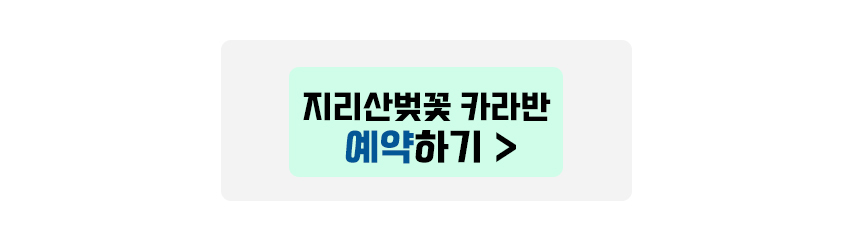 지리산벚꽃 카라반 캠핑장 예약하기