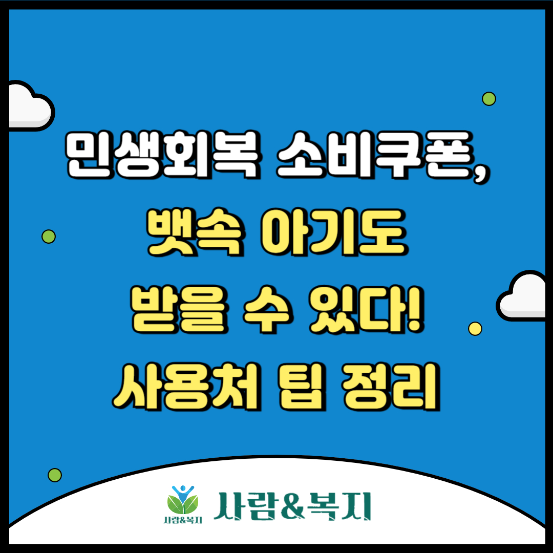 민생회복 소비쿠폰 팁