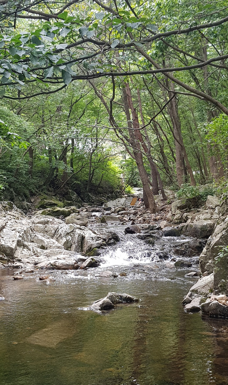 용현자연휴양림