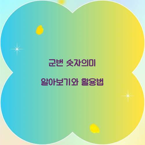 군번 숫자의미