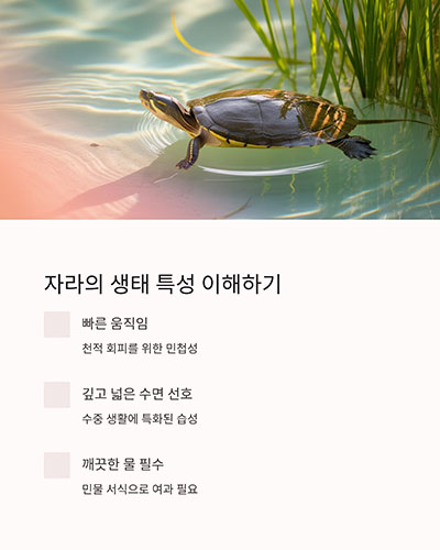 생태 특성부터 이해하기