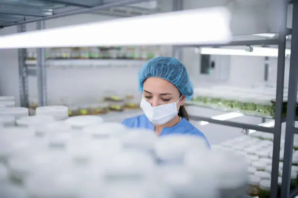 바이오 관련주 수혜주