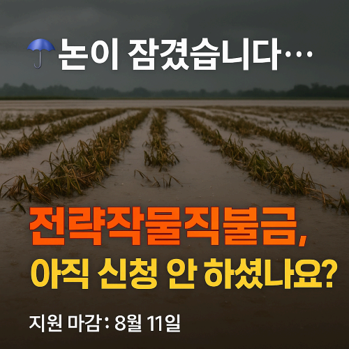 집중호우에 논잠긴 우리 밭&hellip; 그래도 다행인 이유 [전략작물직불금 지원받는 법]