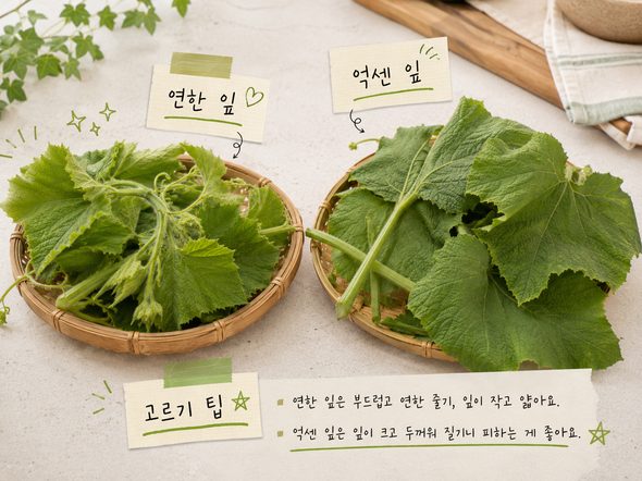 호박잎 찌는법