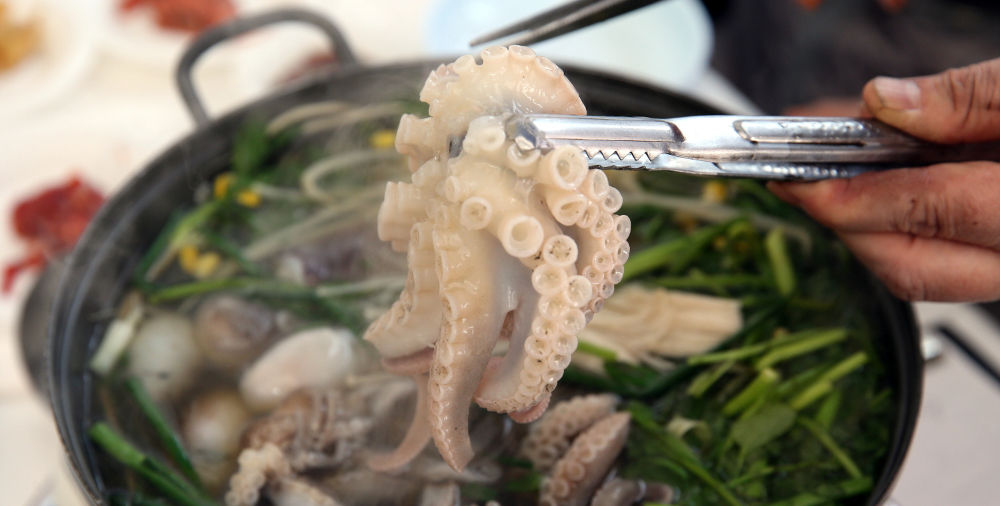 서천 주꾸미축제