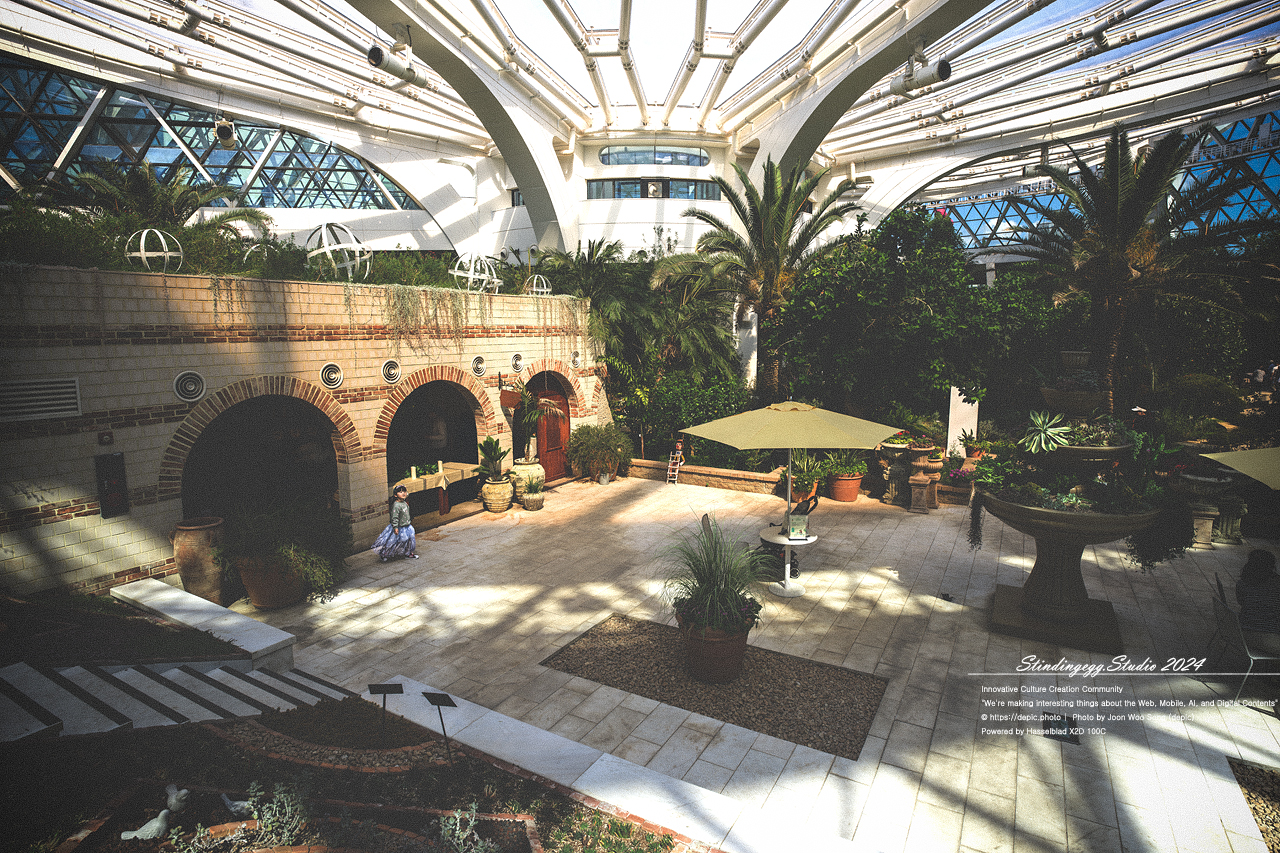 #서울 #식물원 #서울식물원 #꽃