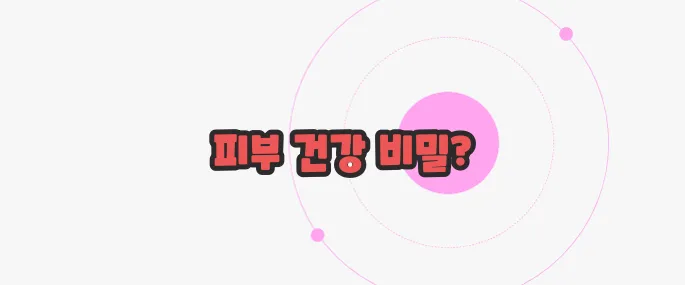 비타민 c 효능 이제 본격적으로 알아볼까요