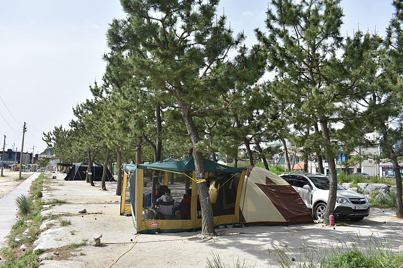 인구해변 캠핑