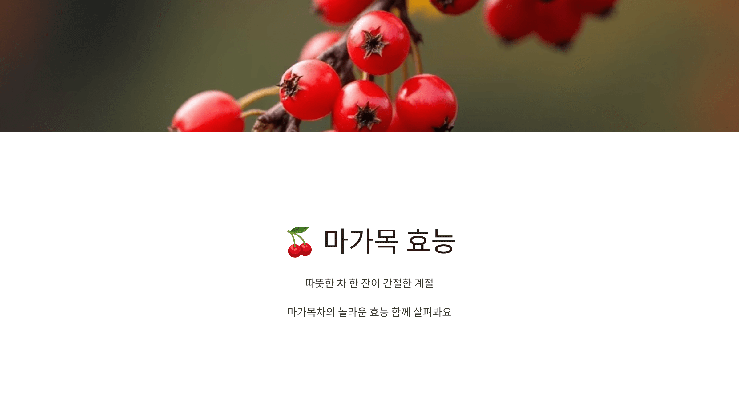 마가목 사진입니다.