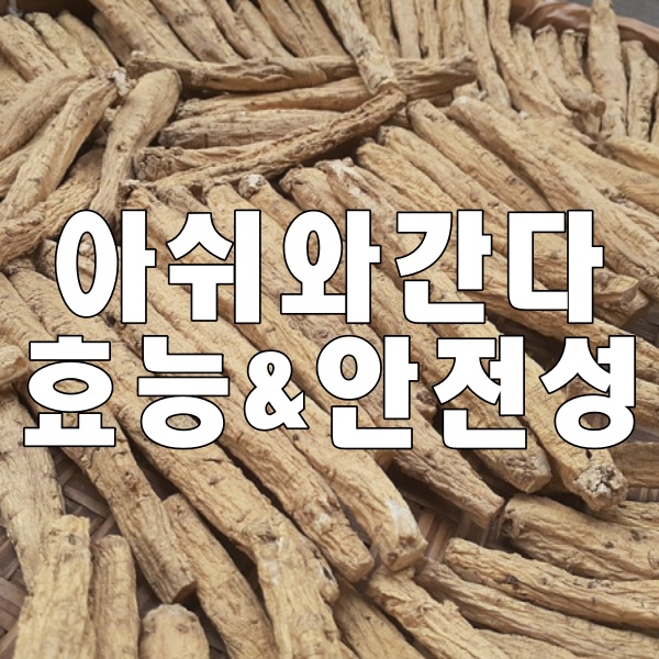 아슈와간다 효능, 안전성, 근거등급 썸네일