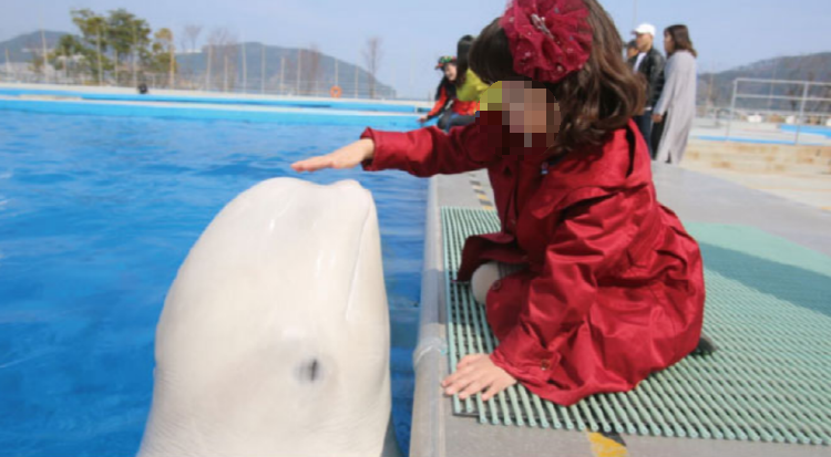 거제 씨월드 관람