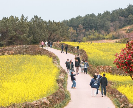 청산도
