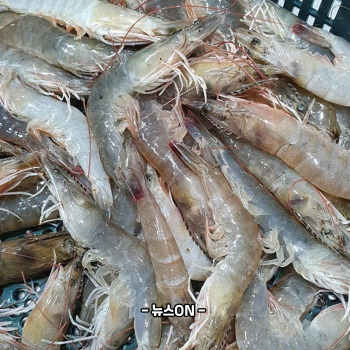 새우장 만드는법