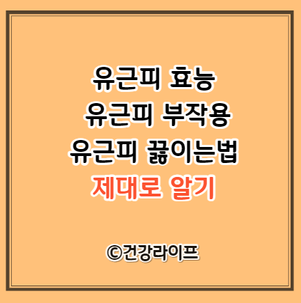 유근피 효능, 유근피 부작용, 유근피 끓이는법