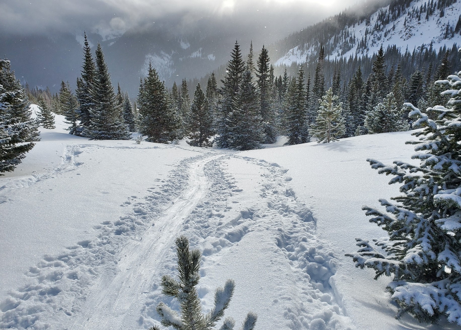미국-콜로라도-스키