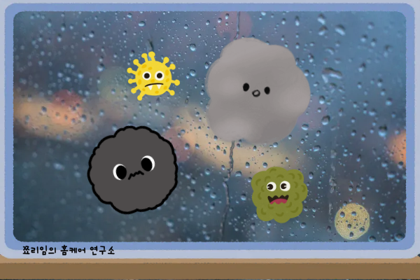 결로의 원인: 곰팡이