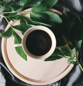 컴포즈커피 창업에 대하여 알아보기