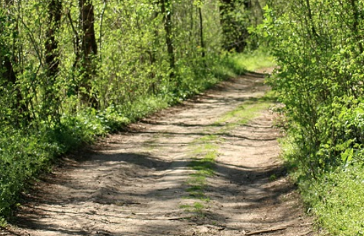 월급쟁이가 부자 되는 현실적인 방법 3가지 관련 사진