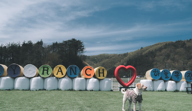 대관령 하늘목장