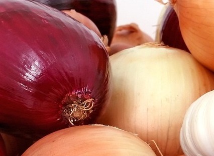 고지혈증에 좋은 음식