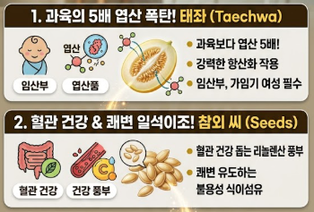 참외 효능