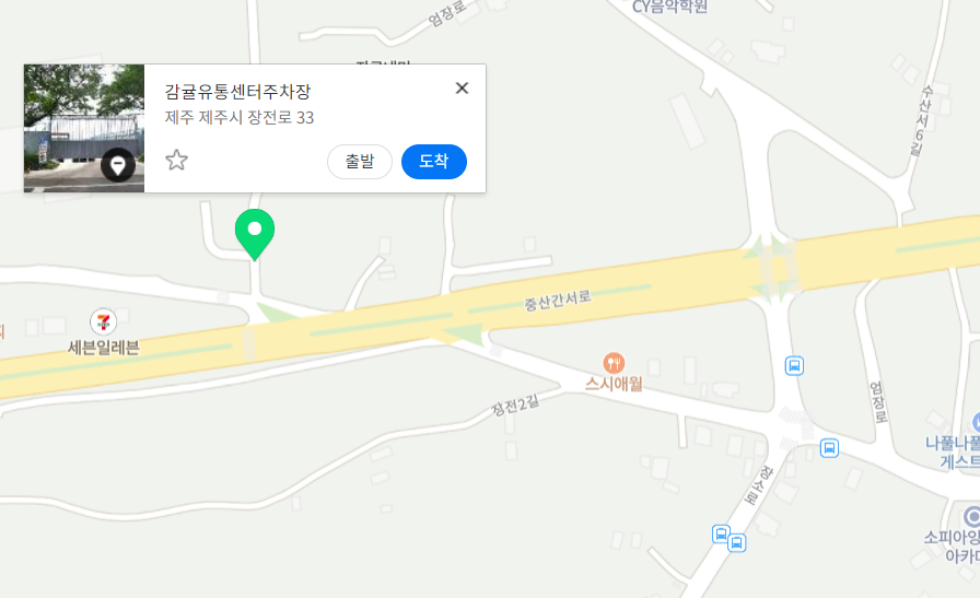 제주벚꽃축제