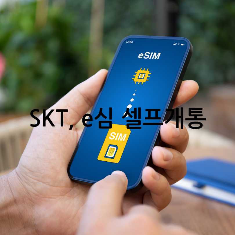 SKT e심 셀프개통과 유심포맷