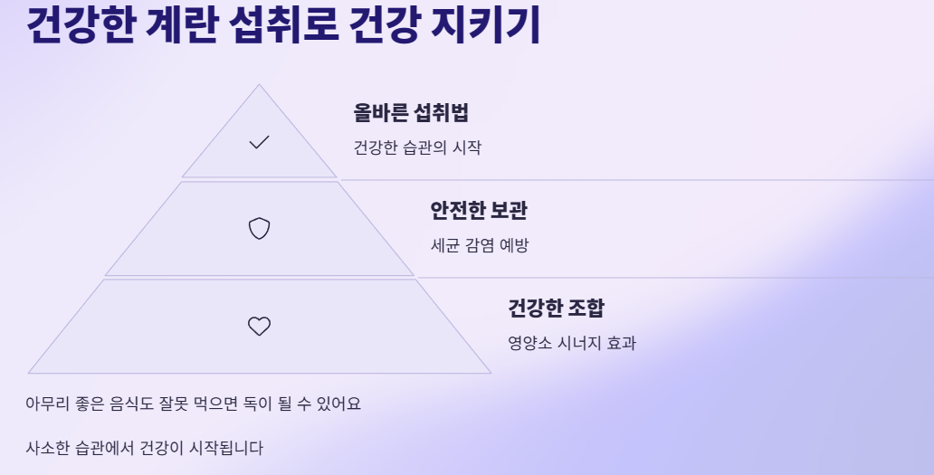 건강한 계란 섭취로 건강 지키기