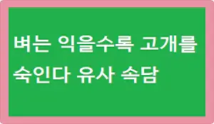 벼는 익을수록 고개를 숙인다 유사 속담