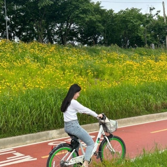 365 서울챌린지 1기 참여혜택·신청방법 총정리