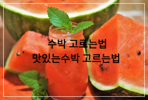 수박-고르는법