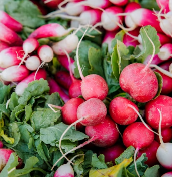 무 효능과 부작용