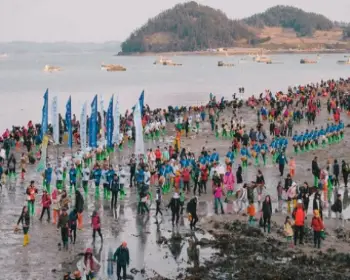 진도 신비의 바닷길 축제_10