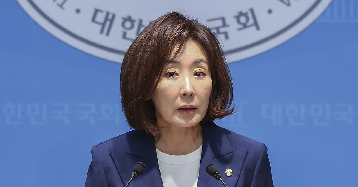 나경원 DMZ 지뢰 결의안 발의