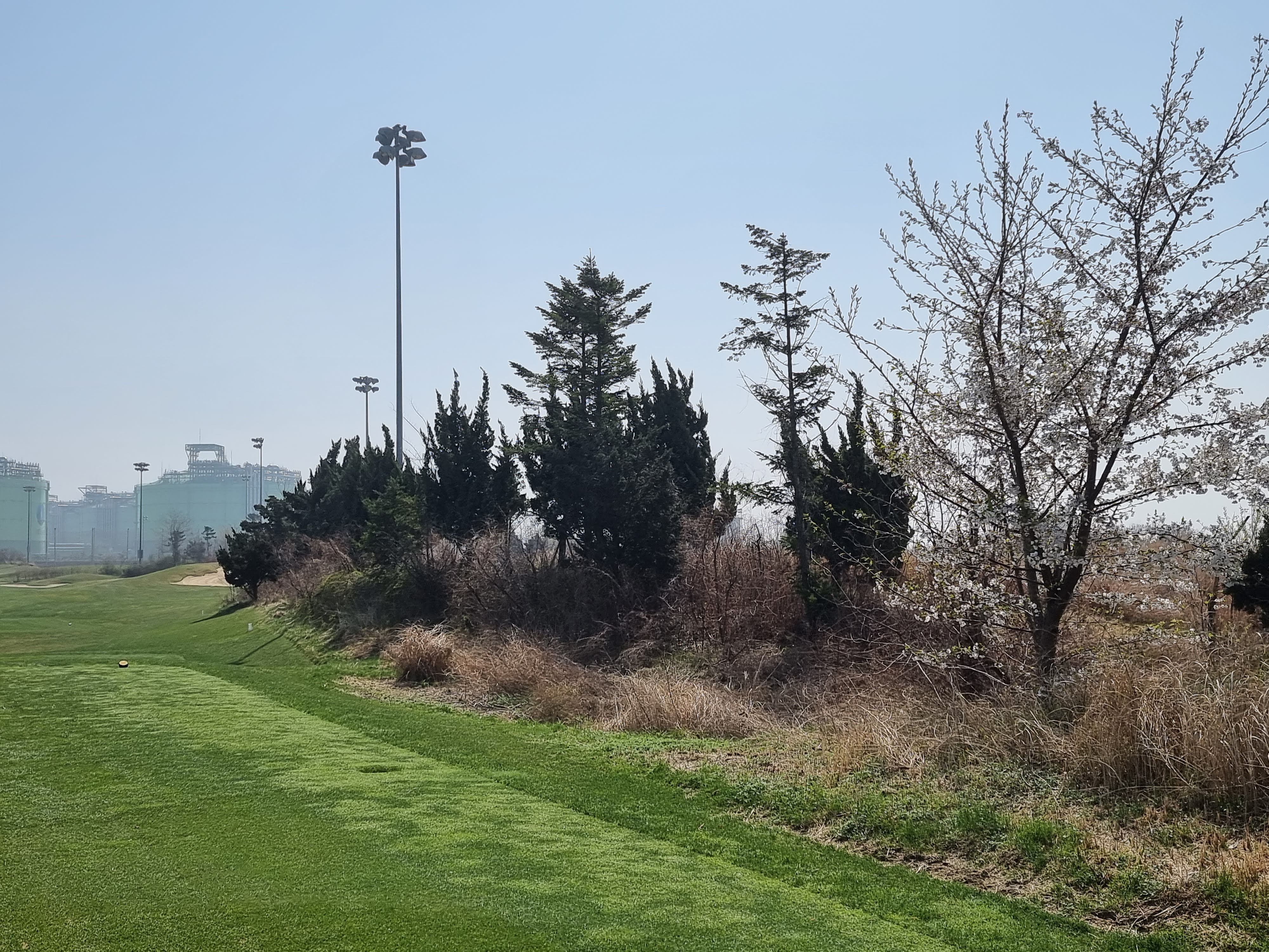 구장내 조경 등 구장전경