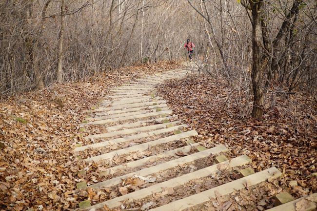 급경사 통나무 계단길, 힘겹게 올라오는 등산객 여 1,