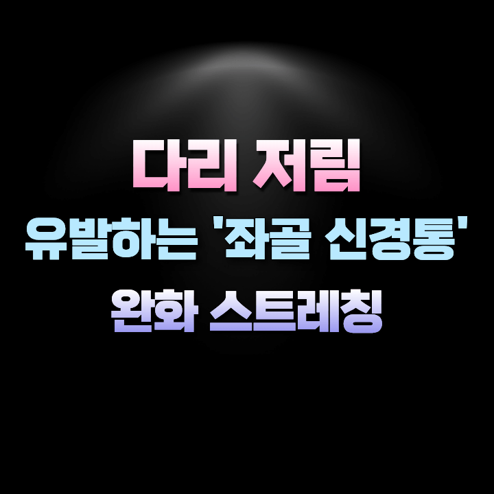 좌골신경통완화스트레칭