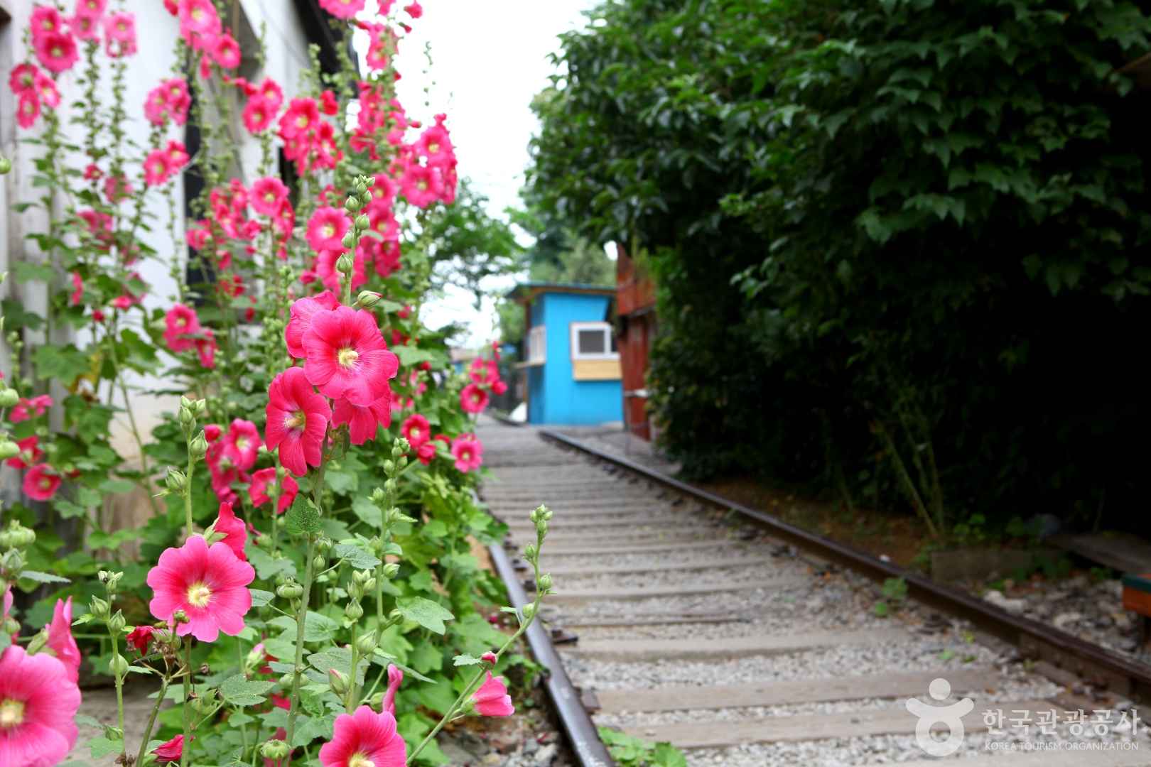 경암동 철길마을