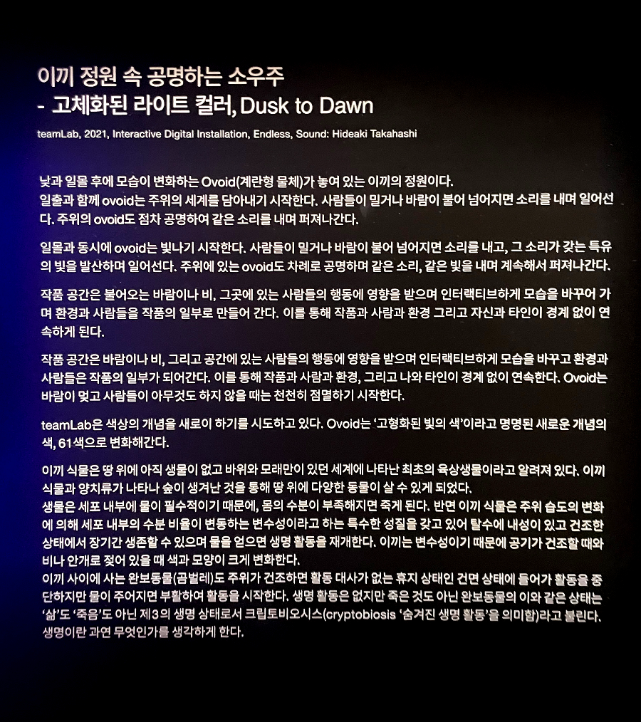 팀랩플래닛 관람 이끼 정원 속 공명하는 소우주, 고체화된 라이트 컬러