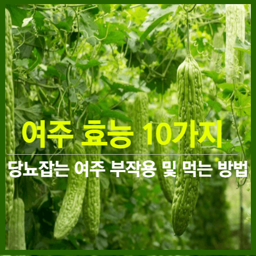 여주효능10가지