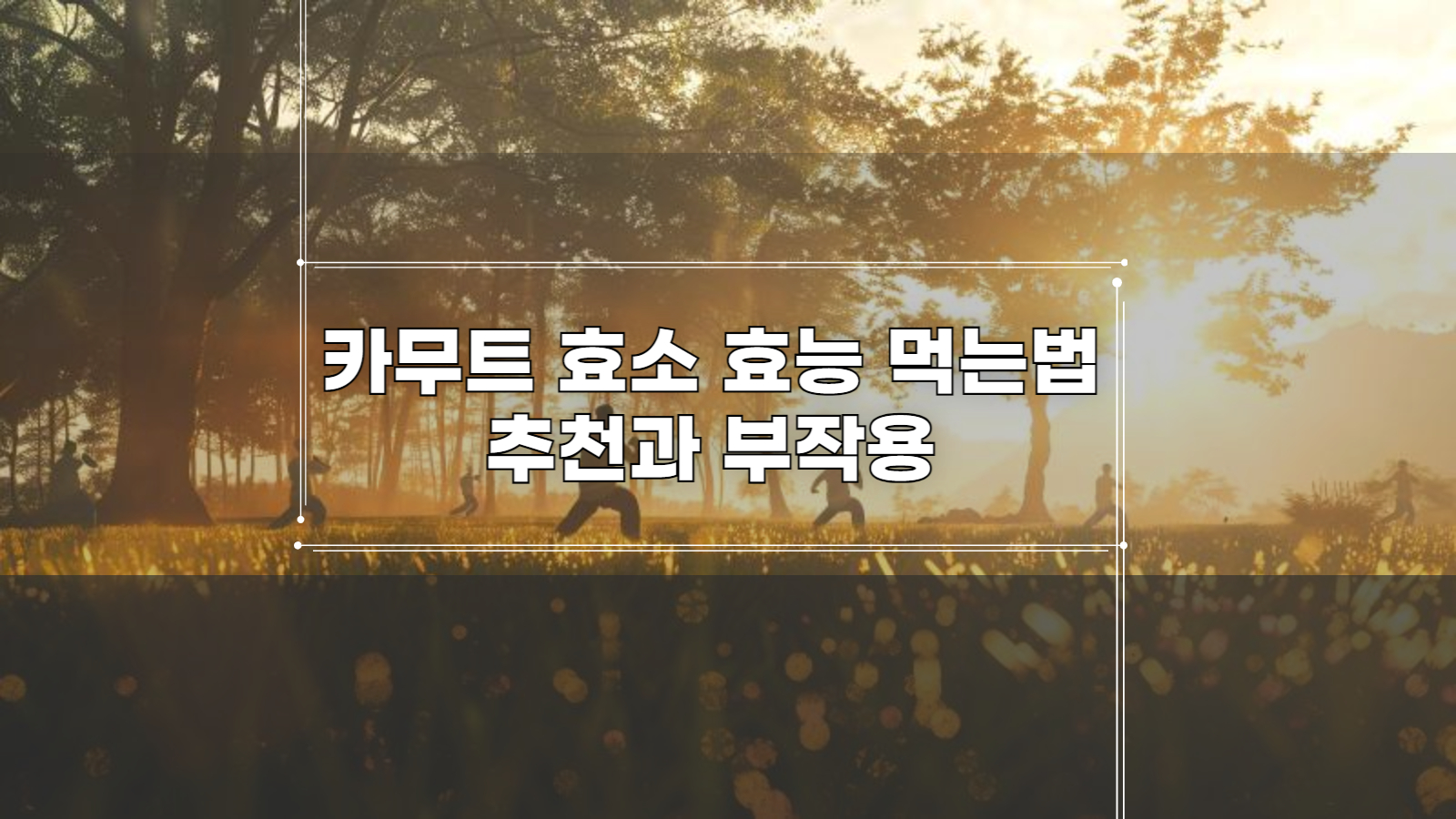 카무트 효소 효능 먹는법 추천과 부작용