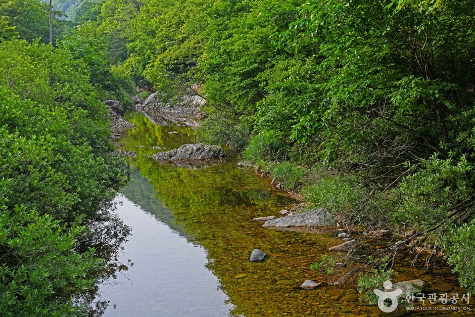 보은 가볼만한곳 베스트10