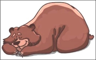 곰이 집안에 들어온꿈