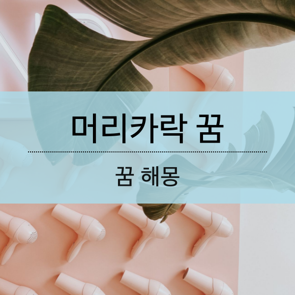 머리카락 꿈 해몽