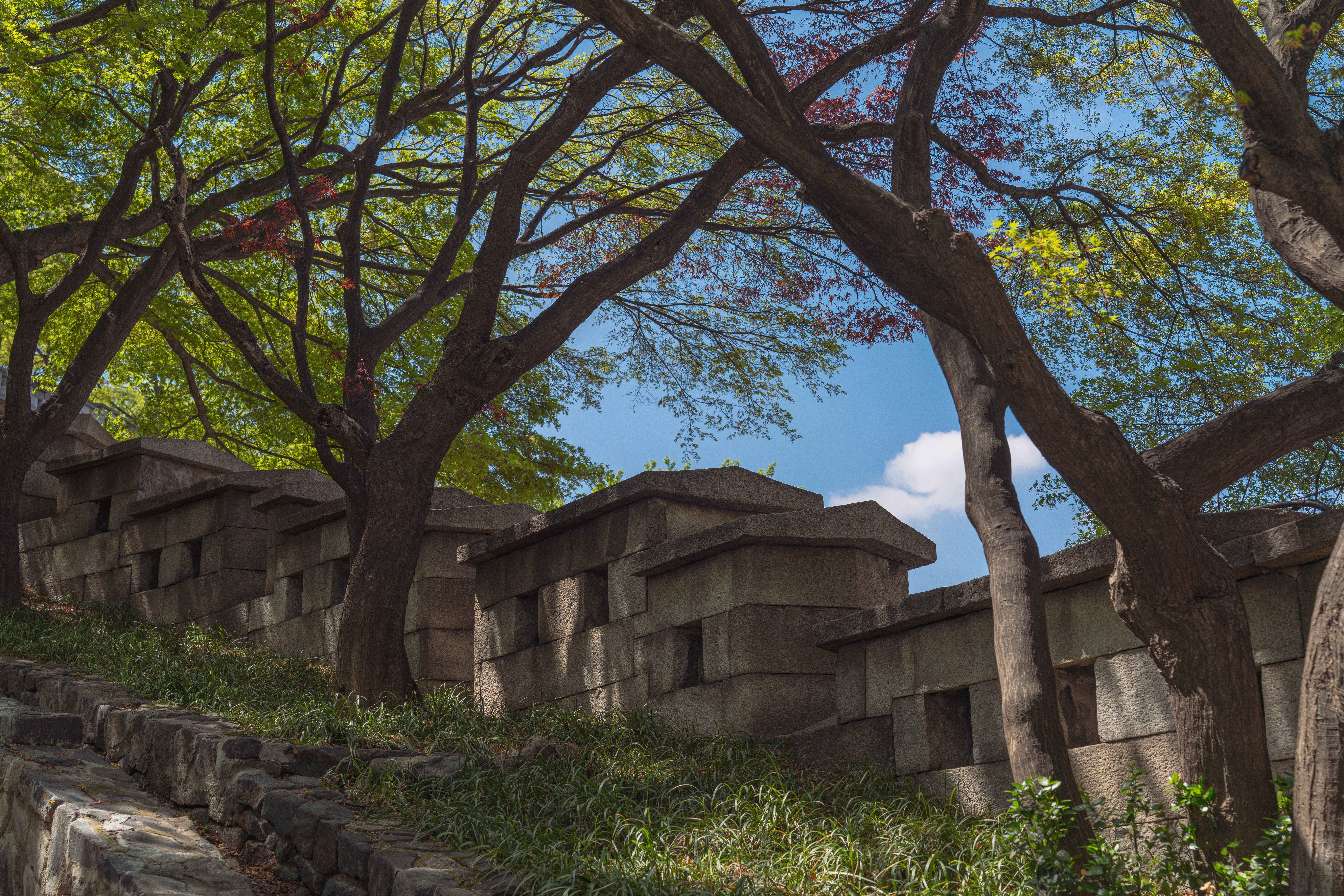 한양도성길 와룡공원