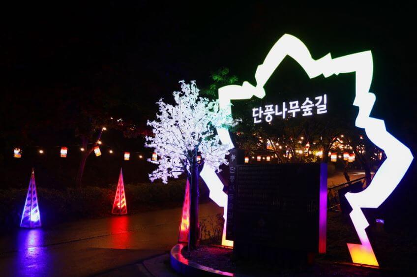 독립기념관 단풍나무길 야간개장 시간